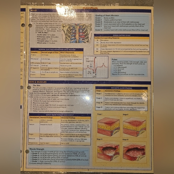 Nursing Quick Reference Guide - Picture 4 of 7